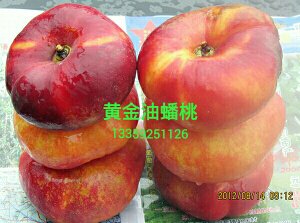054519h13elvmtw1323px1.jpg