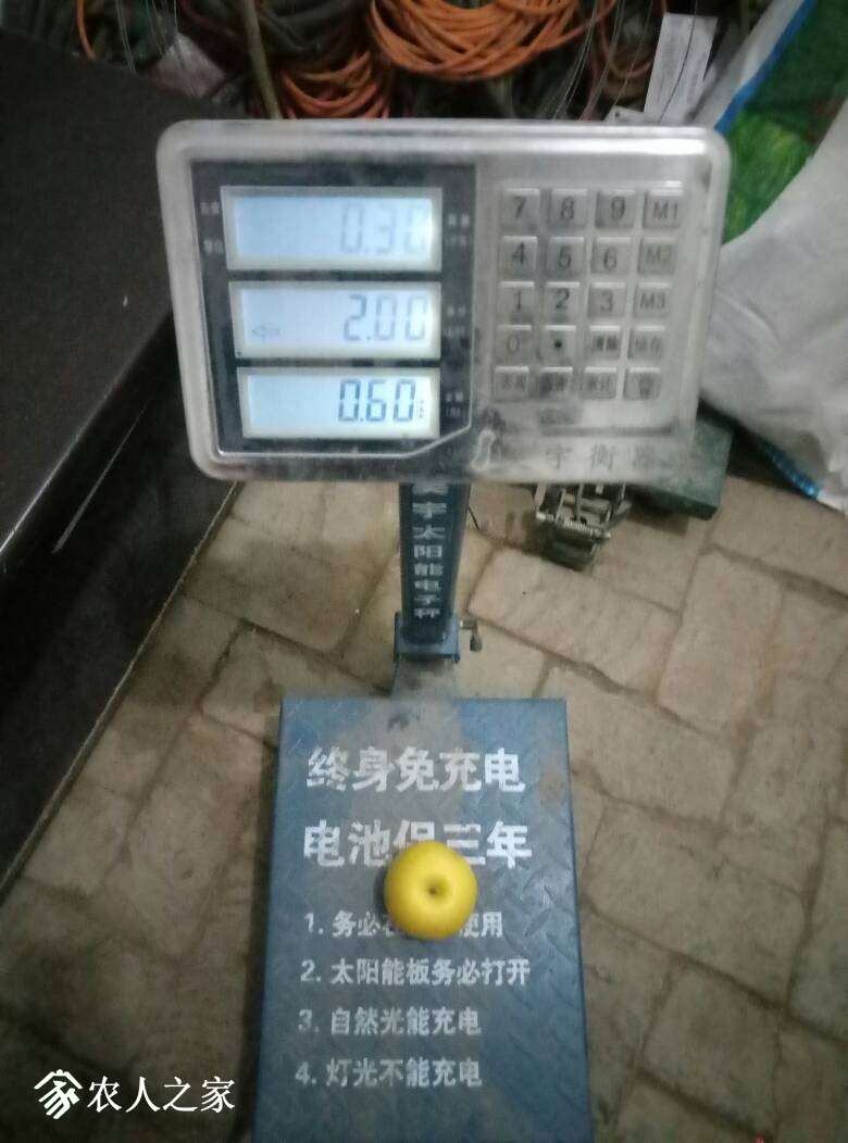 065513d2ztz535pvolz5ko.jpg