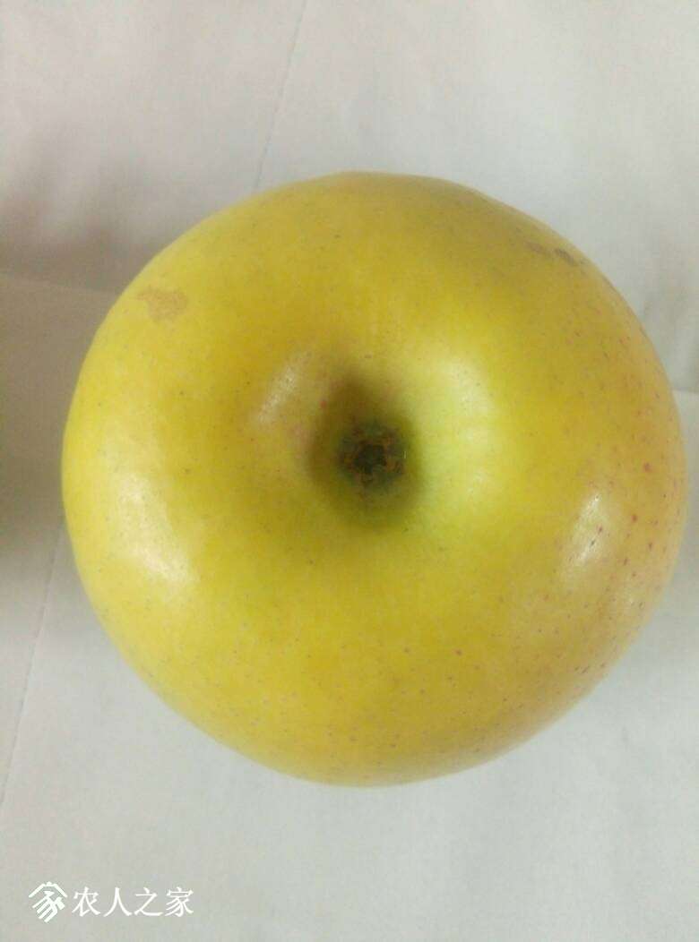 065513lririp9iqgc9zstj.jpg