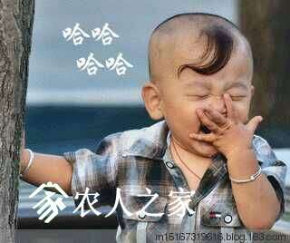 120612lyeew2w12iudjxuf.jpg