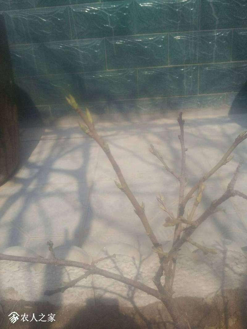 125057ypqdw2zssqyp60qk.jpg