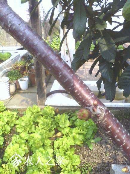 IMG0316145200.jpg