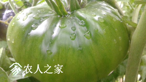 20161221_160440.jpg