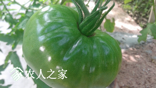 20161205_135724.jpg