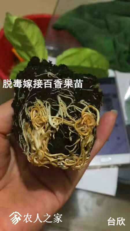 080138entqqtnv6nn66tql.jpg
