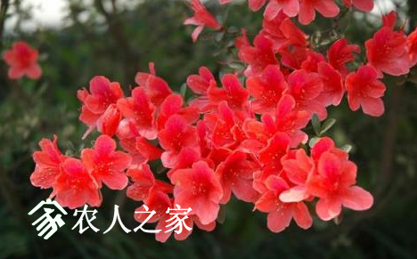 ž黨ˮҪ.png