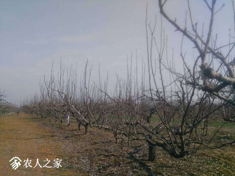 054534en3qrr5fmd11vfis.jpg