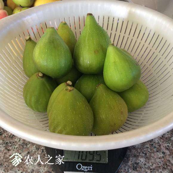 15���ջ���޻���