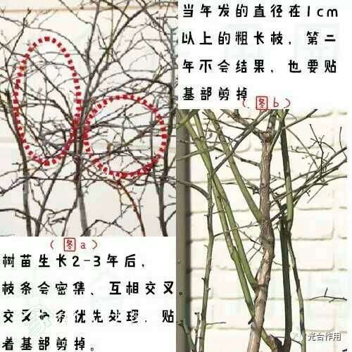 084323cvmpvwlrw83p8pvl.jpg