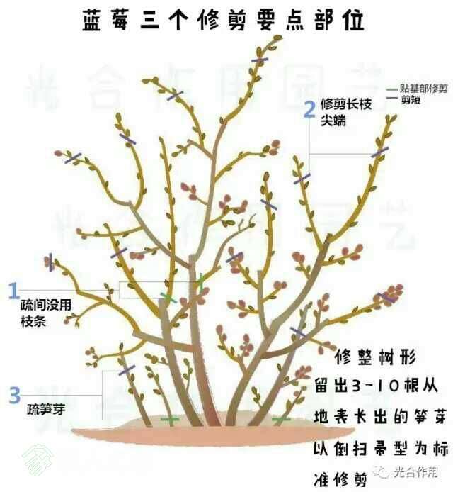 084323gagltlvlj2jgz8ff.jpg