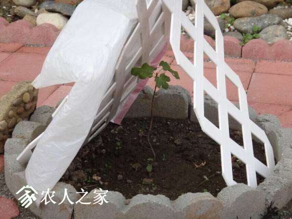 ͼ.jpg