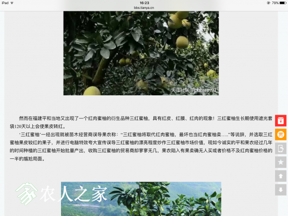 IMG_0646.PNG