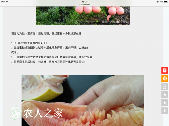 IMG_0647.PNG