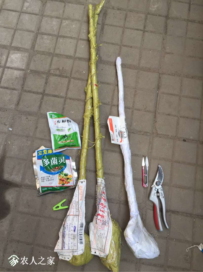 180232x7qc3cenjqob1swz.jpg