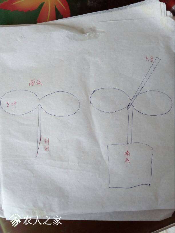111134wzj8a1vejuzaddej.jpg