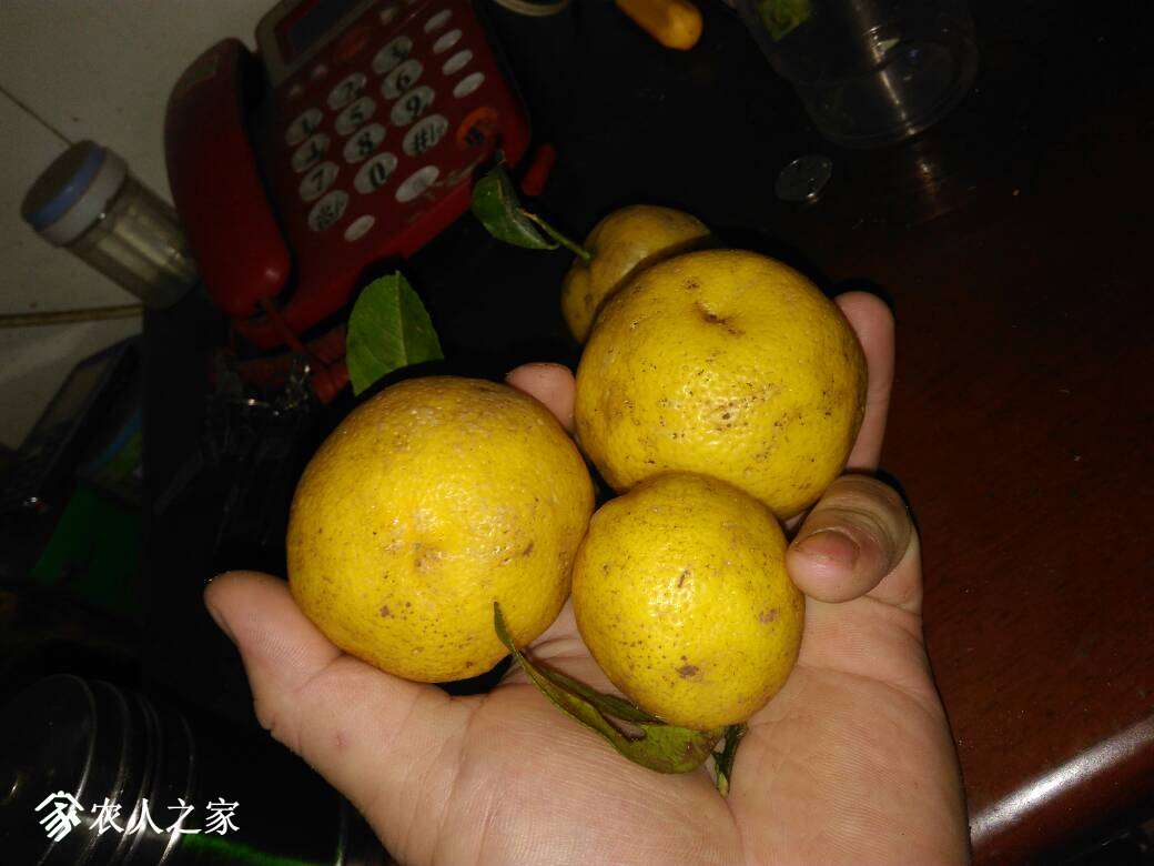 210824d70r7e77xwmex0eh.jpg