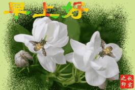 064041sycdoybmbbg1nypq.jpg