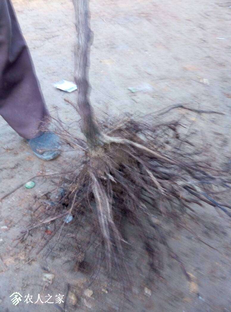 071012uzqmaqmq72q2dqq2.jpg