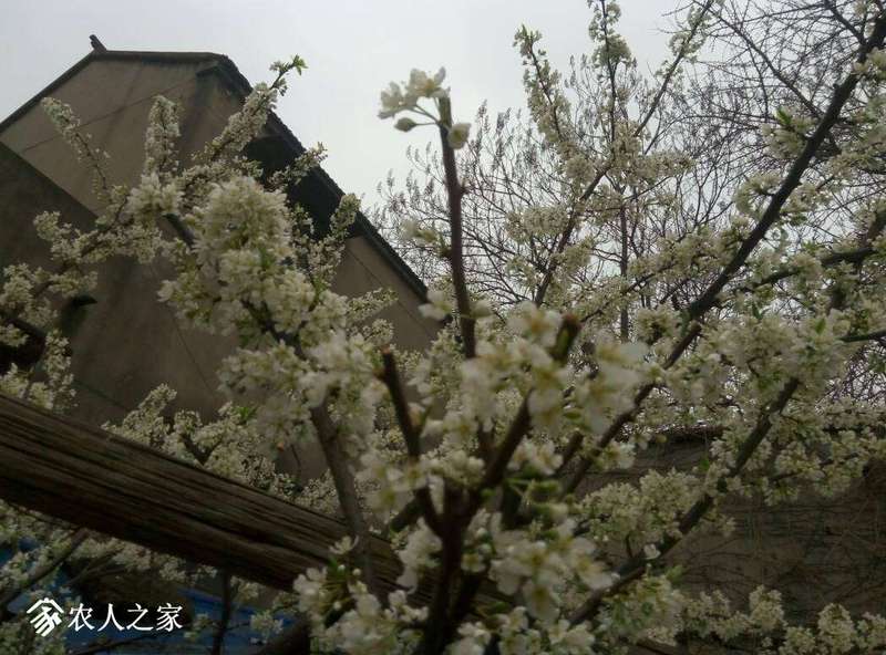 115858vhqi9w49bbi90iqb.jpg