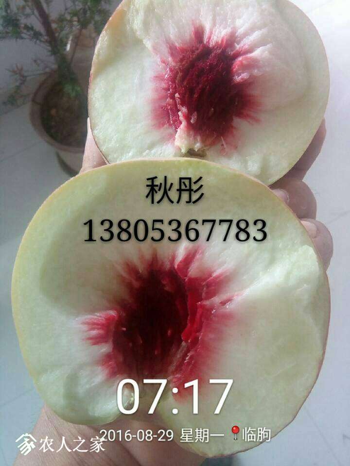 124213pj9jzkavaajksauu.jpg