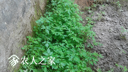 20170317_113450.jpg