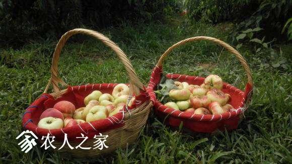 IMG_20150620_101023.jpg