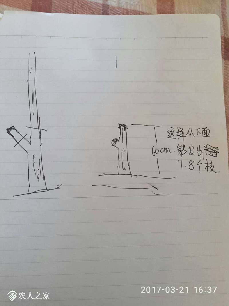 163820uvzi5tjvdnpsrser.jpg