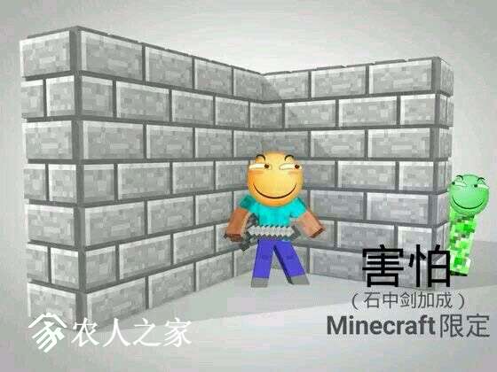 204617qxix0nlzklnppb3u.jpg