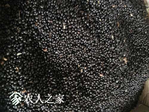 IMG20170322143936.jpg