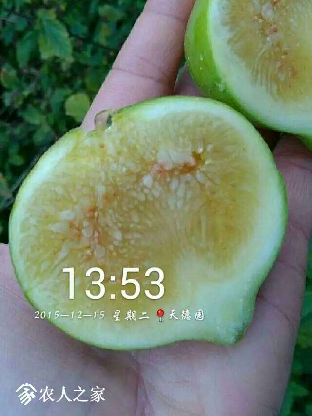220337jrxnvhbxpkcbwyxb.jpg