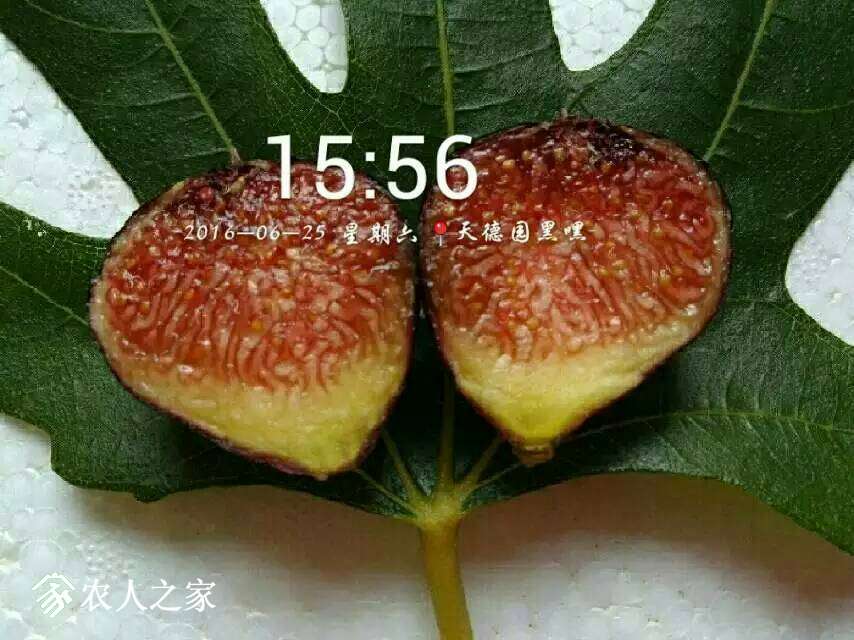 081934kn7qjgz1vv866iqc.jpg