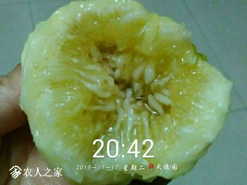 081934rsdq0sddb7ypd077.jpg