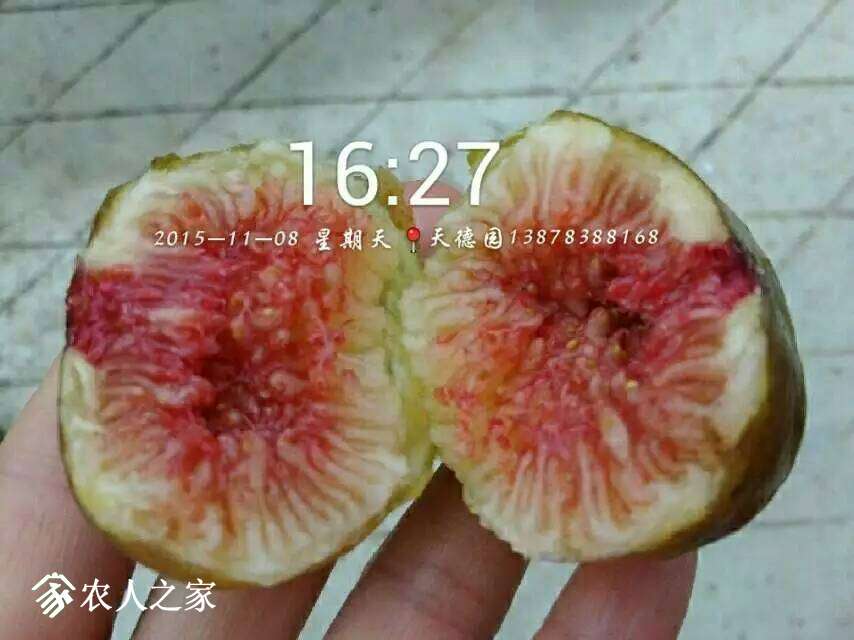 081934y3hmmnpaq3rkrpwr.jpg