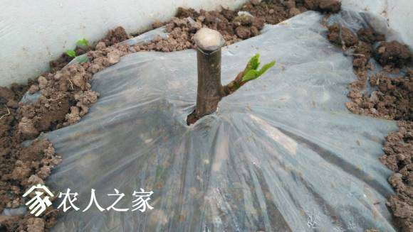 QQͼƬ20170323155323.jpg