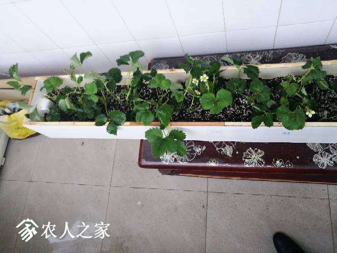 163018r7961dycl1cw8cpd.jpg