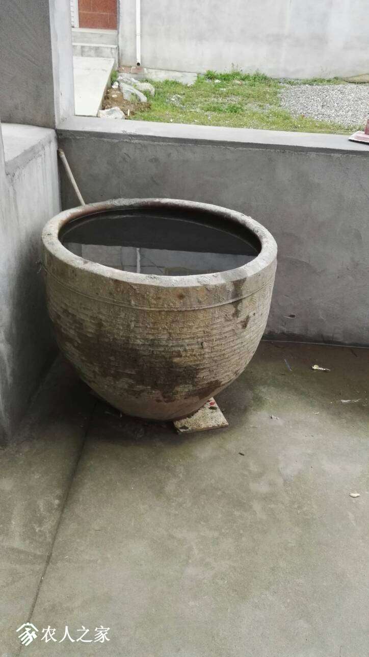 175504yngoayyv9osnj1o9.jpg