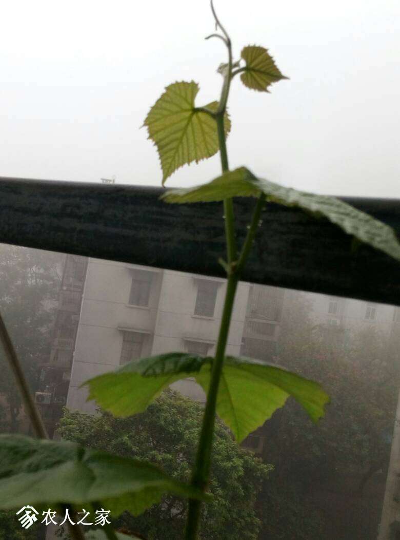 061155mzwprkrgu66oirbr.jpg
