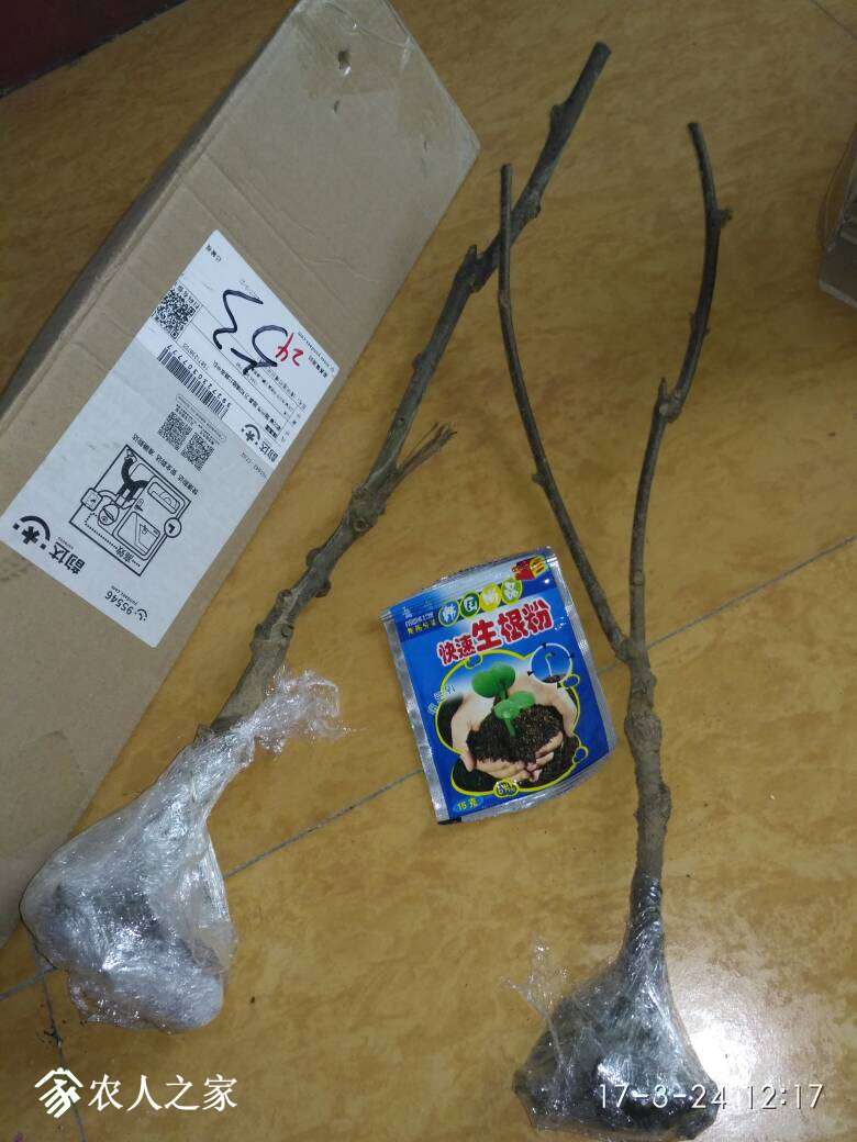 130427otl0fz00ww09jt11.jpg