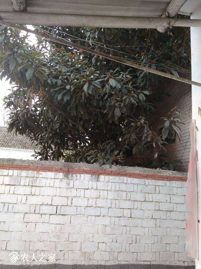 155615ymoybqvkkpvs0ypk.jpg