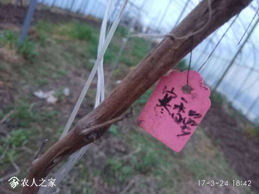 202440qeevlz3aprkrw312.jpg