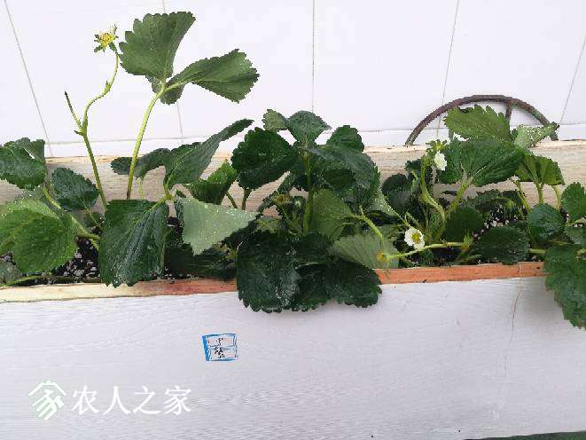 005327i36x79fd8zxyu233.jpg