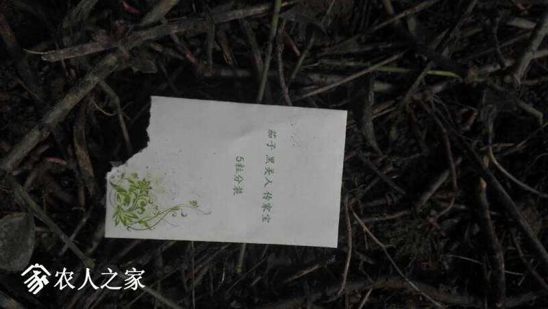 224425ouzqhmdqdf9797da.jpg