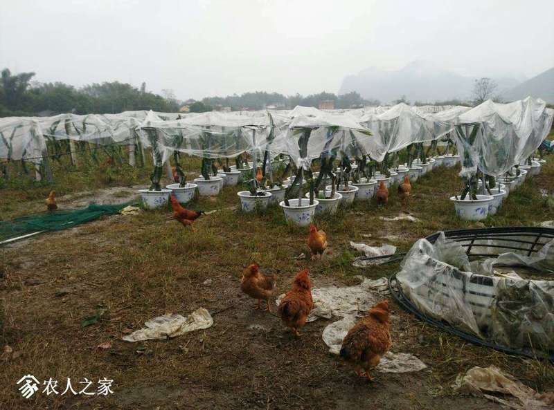 080800azukdh6dgugdlogg.jpg