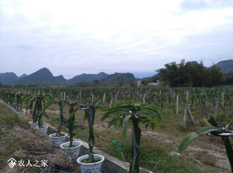 080800kzbe34pgvz3663b3.jpg