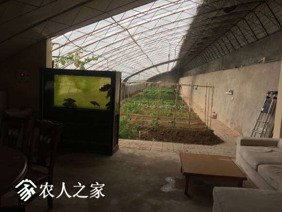 Ƭ 013.jpg