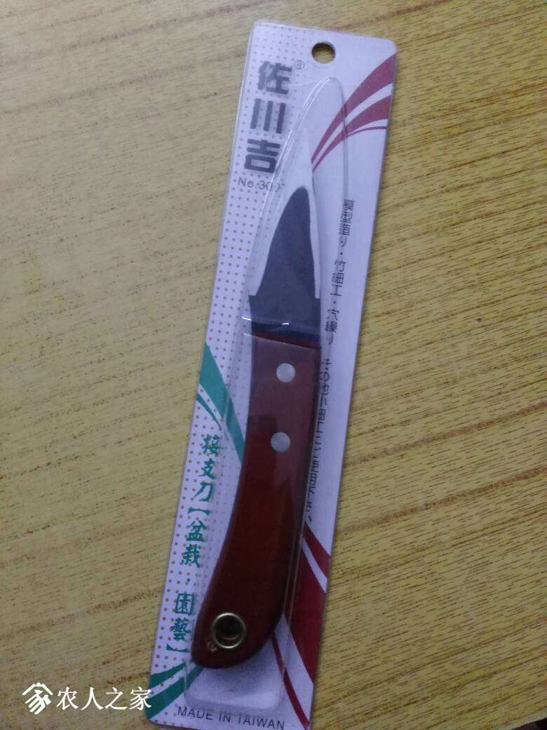 200358r63hkyolj50cshrs.jpg