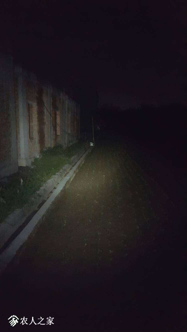 212711znn1nr6bbnmnnvqb.jpg