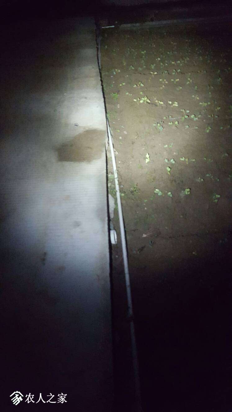 212712mkllmlmhnhfle83o.jpg