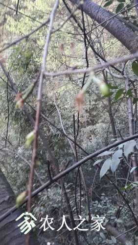 20170326_183427.jpg