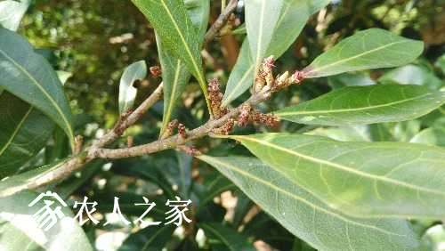 IMG_20170326_161535.jpg